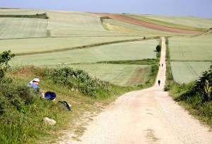 Pilgrims on Camino